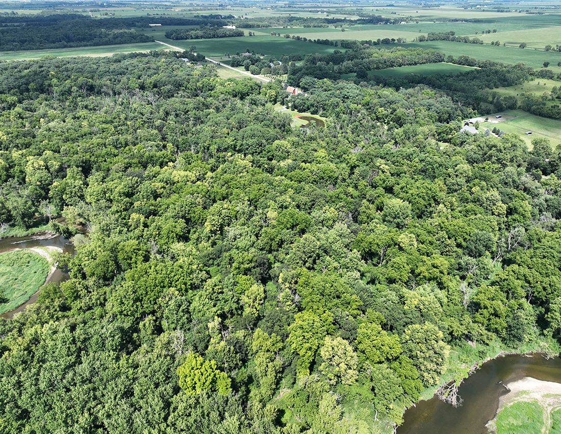 Listing Photo: Hunting land sale